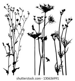 collection, for designers, plant vector