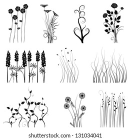 collection for designers, plant vector