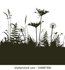 collection for designers, plant vector