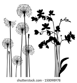 collection, for designers, plant vector
