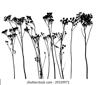 collection for designers, plant vector