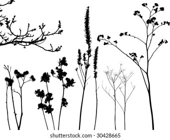 colección para diseñadores, vectores vegetales