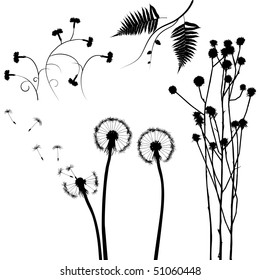 collection, for designers, plant vector