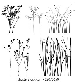 collection, for designers, plant vector