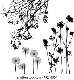 collection, for designers, plant vector