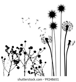 collection, for designers, plant vector