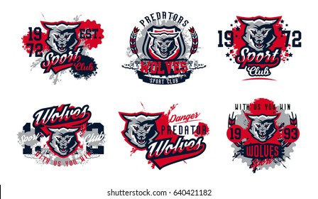 A collection of designs for printing on T-shirts, aggressive wolf ready to attack. Predator forests, dangerous animals, wild animal, mascot, lettering. Vector illustration, grunge effect