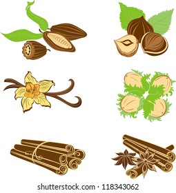 Collection of  dessert ingredients. Hazelnuts, Cocoa beans, Vanilla pods, Anise, and Cinnamon isolated on white