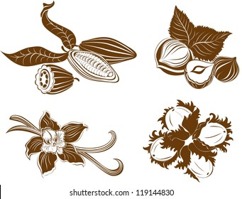 Collection of  dessert ingredients. Hazelnuts, Cocoa beans, Vanilla pods isolated on white