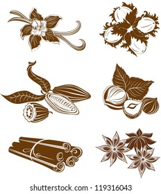 Collection of  dessert ingredients. Hazelnuts, Cocoa beans, Vanilla pods, Anise, and Cinnamon isolated on white