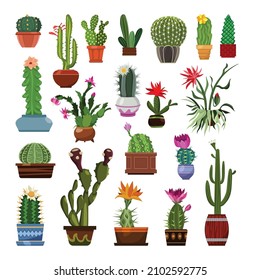 Collection of detailed cacti isolated on white background.