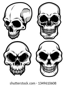 Collection of Detailed Classic Skull Head Black and White Illustration 