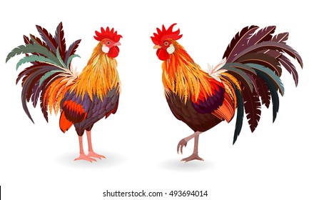 collection of detailed cute roosters for your design