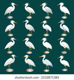 A collection of detailed Egret and Heron bird illustrations featuring elegant vector icons showcasing the graceful beauty and distinct features of these birds.