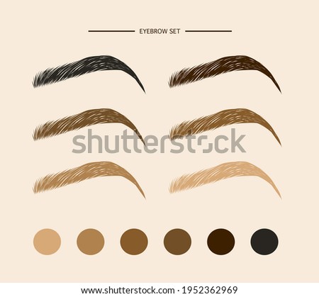 Collection of detailed eyebrow in different colours. Hand drawn illustration in vector for brochures, business cards, templates 