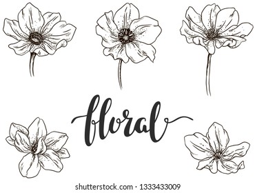 Collection of detailed  lined florals