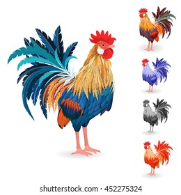 collection of detailed lovely Cockerels for your design