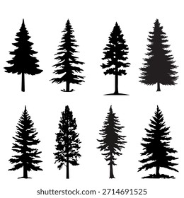 Colección de siluetas detalladas de pinos en diferentes Formas y tamaños, aisladas sobre fondo blanco. Ideal para logotipos de naturaleza, ilustraciones de bosques, marcas al aire libre, carteles y fondos.
