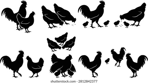 A collection of detailed poultry silhouettes featuring roosters, hens, and small chicks feeding, walking, and brooding together, designed as flat vector icons isolated on a white background.