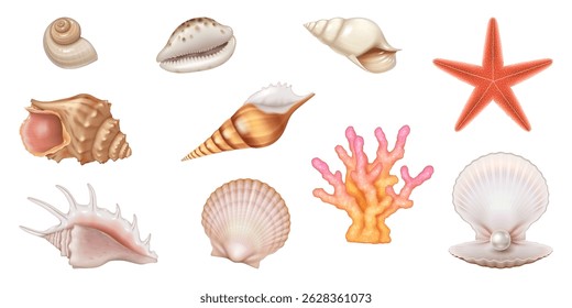 Collection of detailed seashells, starfish, and coral illustrations, featuring diverse shapes and colors on white background. Perfect for marinethemed designs, educational materials