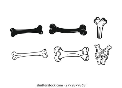 Collection different animal bone