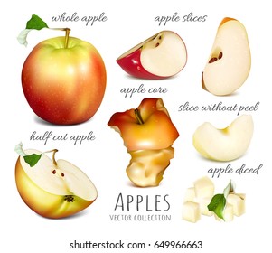 Collection of different apples: slices, diced, half cut and other. Vector illustration.