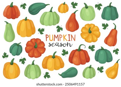 Collection of different autumn pumpkins. Orange, yellow and green pumpkin and squash. October, fall, harvest time. Autumn vegetables.