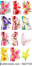 Collection of different beautiful flowers