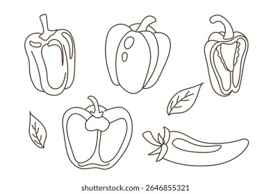 Collection of different bell peppers and chili with leaves in simple lineart style for coloring page isolated on white background