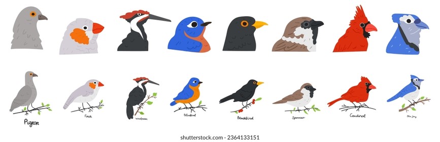 Collection of different birds. Colorful collection. Flat design. A good educational idea for kids. Vector graphic design illustrations on white background.