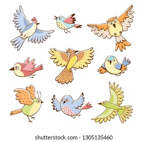Collection of different birds in flying pose. Colorful birds isolated on white background. Cartoon style. Hand drawn vector illustration.