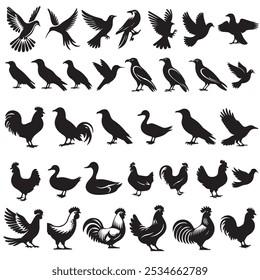  Uma coleção de diferentes aves e silhuetas de aves.