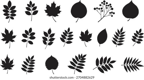 Colección de diferentes siluetas de hojas negras para ilustraciones botánicas y diseño