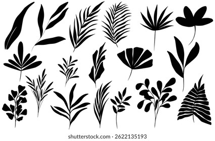 Collection of different black, silhouettes leaves on white background. Vector art