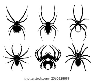 Collection of different black spider silhouettes