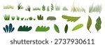 collection of different botanical leaves and grass blades in green color shades