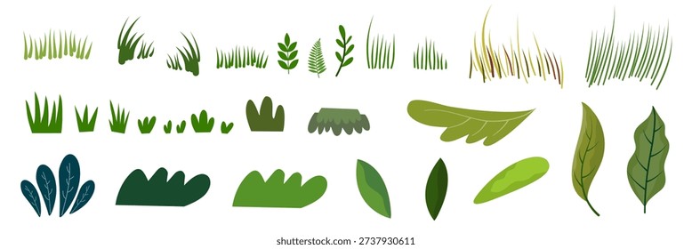 collection of different botanical leaves and grass blades in green color shades