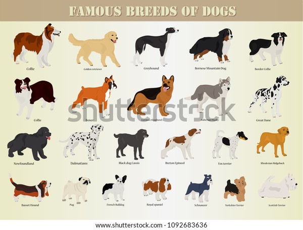 kinds of dogs and names