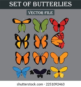 Colección de diferentes archivos vectoriales de mariposas
