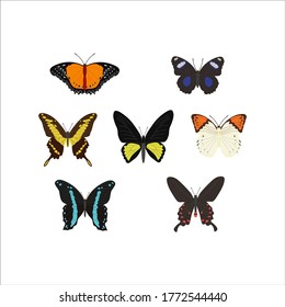 collection of different butterfly. illustration for web and mobile design.