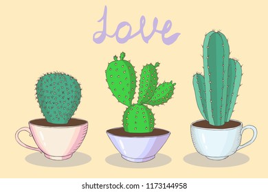 collection of different cacti in bowls, cactus card, vector set  isolated elements
