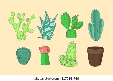 collection of different cacti and flower pot, cactus card, vector set  isolated elements