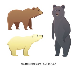Collection with different cartoon bears isolated on white background. Vector broun and black american bear. Set Wildlife or zoo grizzly.
