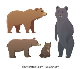 Collection with different cartoon bears isolated on white background. Vector broun and black american bear. Set Wildlife or zoo grizzly.