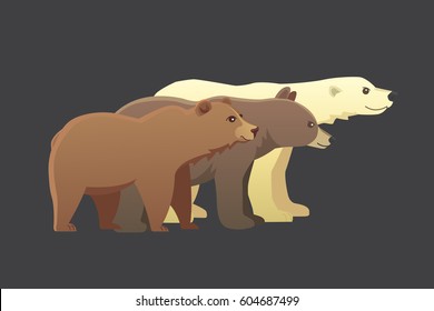Collection with different cartoon bears isolated on dark background. Vector broun and black american bear. Set Wildlife or zoo grizzly. panda.