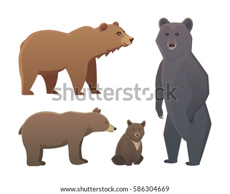 Collection with different cartoon bears isolated on white background. Vector broun and black american bear. Set Wildlife or zoo grizzly.