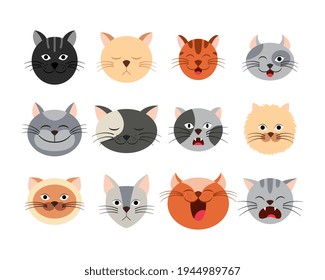 Collection different cartoon cat faces. Funny kitten emotion set. 