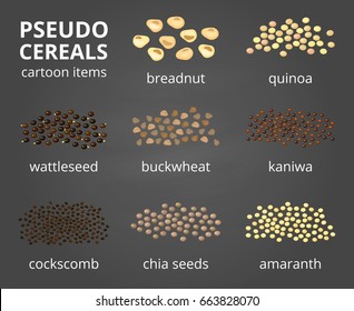 Colección de diferentes pseudo-cereales de dibujos animados aislados sobre fondo de pizarra con nombres.