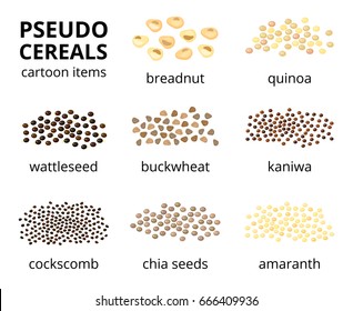 Collection of different cartoon pseudo-cereals isolated on white background with names.