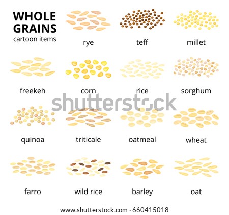 Collection Different Cartoon Whole Cereal Grains Stock Vector (Royalty ...